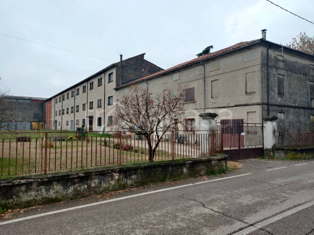 immagine annuncio 4 di 11