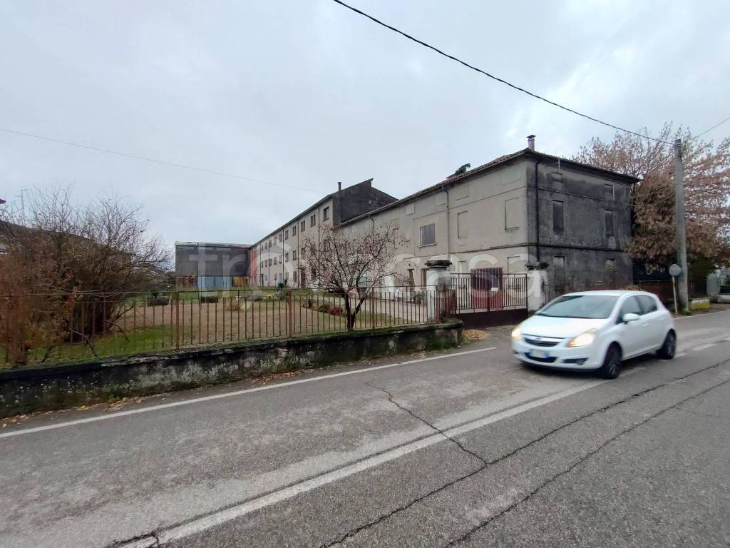 immagine annuncio 5 di 11