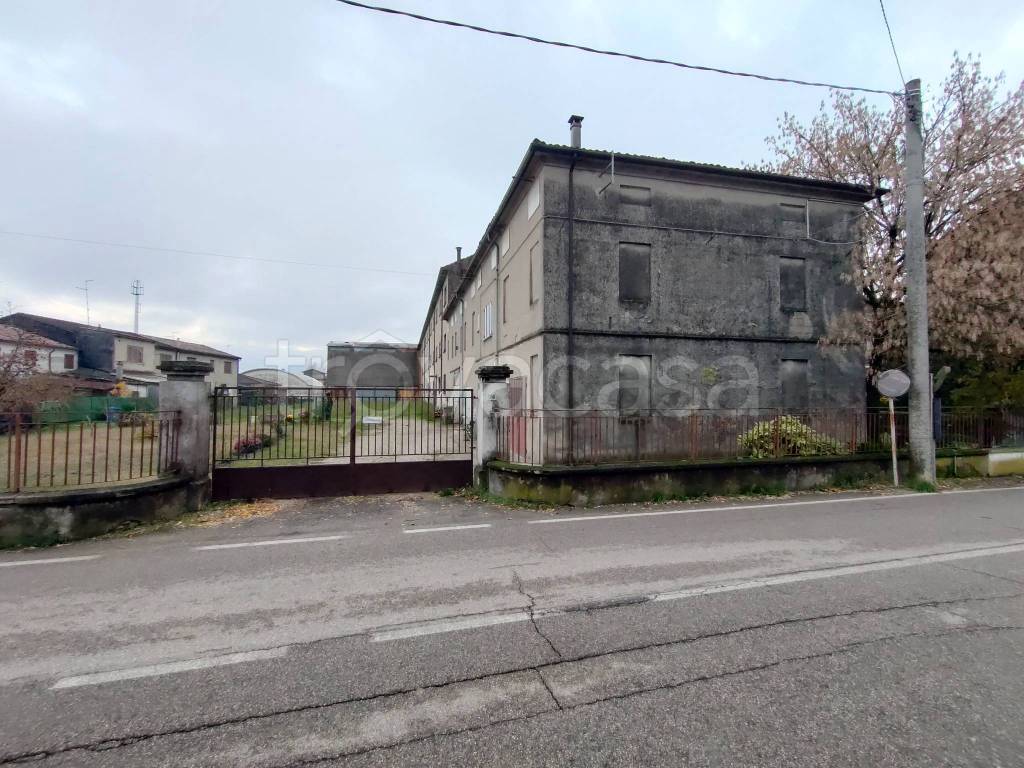 immagine annuncio 7 di 11