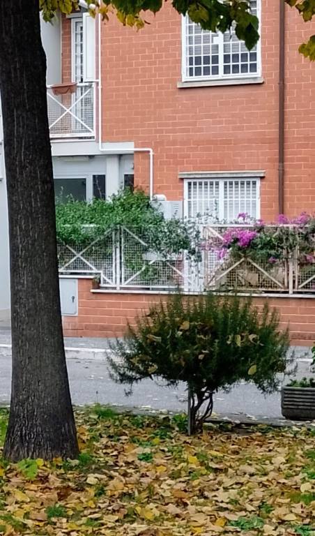 Appartamento in in vendita da privato a Roma via dei Concini, 52