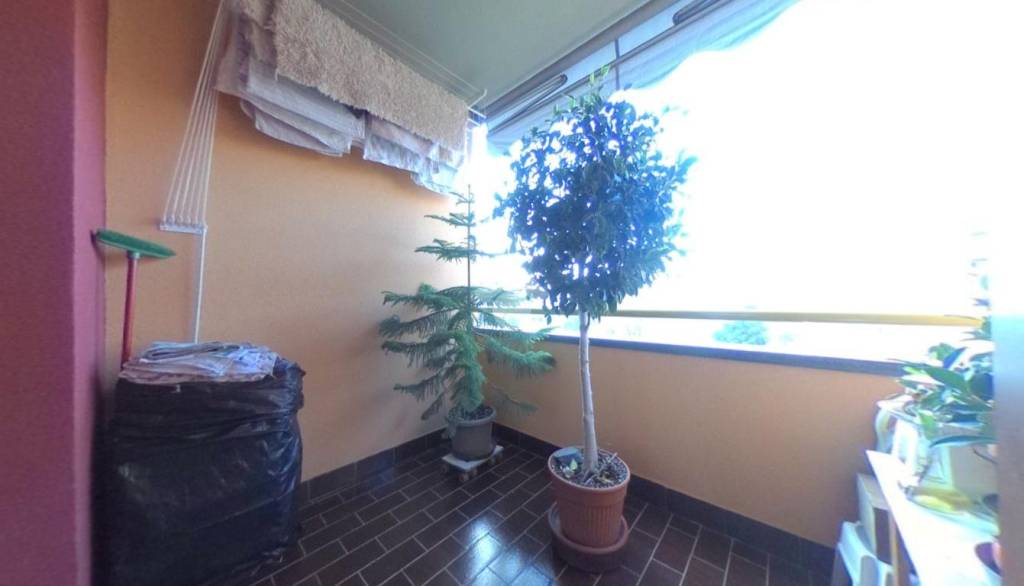 immagine annuncio 2 di 14