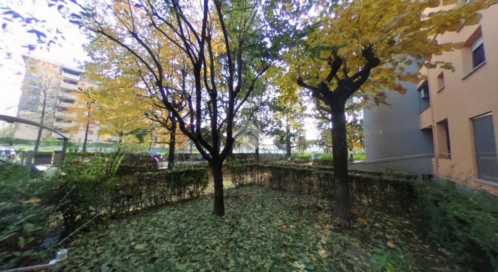 immagine annuncio 7 di 14