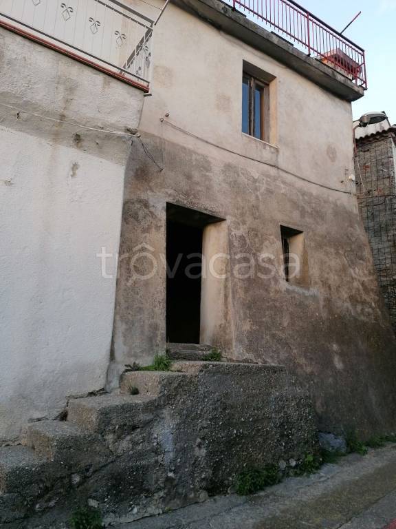 Appartamento in in vendita da privato a Santa Domenica Talao via Olivi, 15