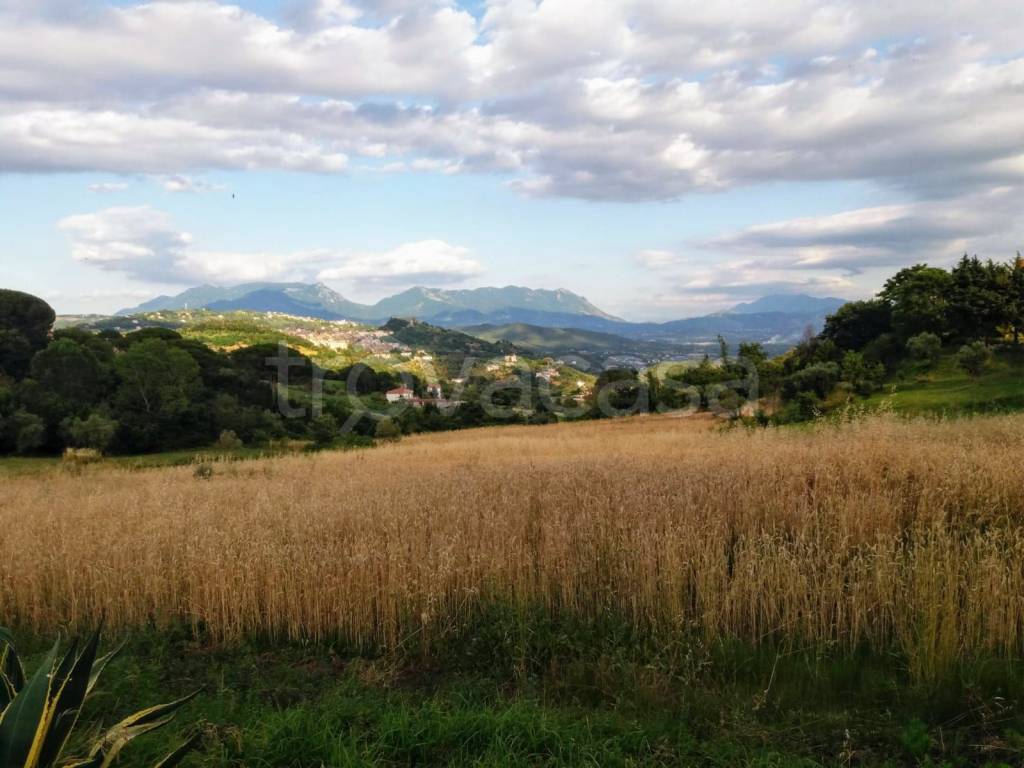 immagine annuncio 2 di 3