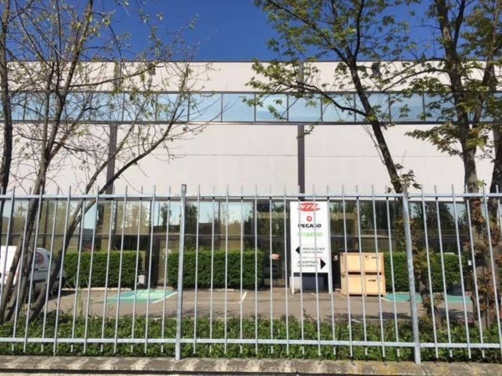 immagine annuncio 11 di 15