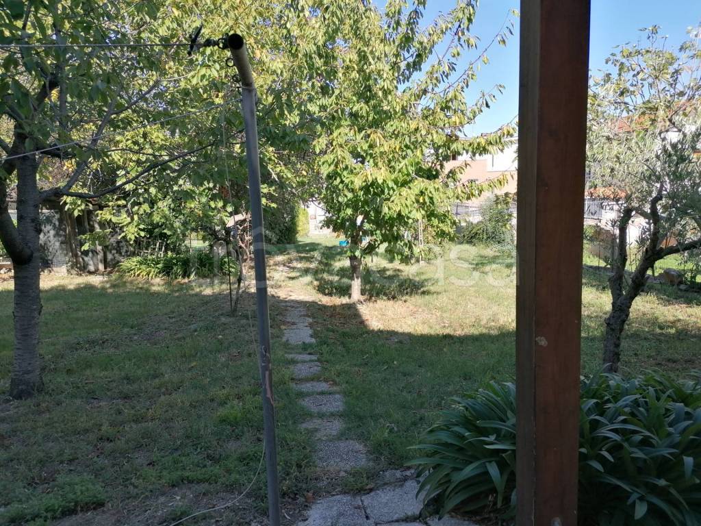 immagine annuncio 1 di 2
