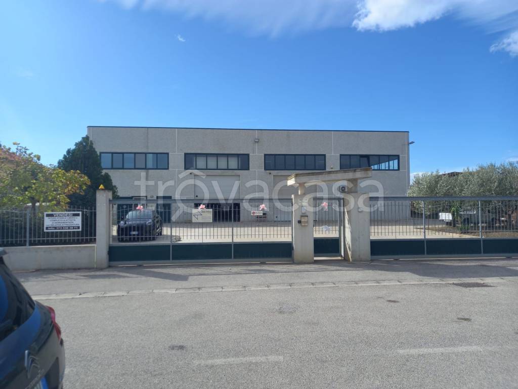 immagine annuncio 1 di 6