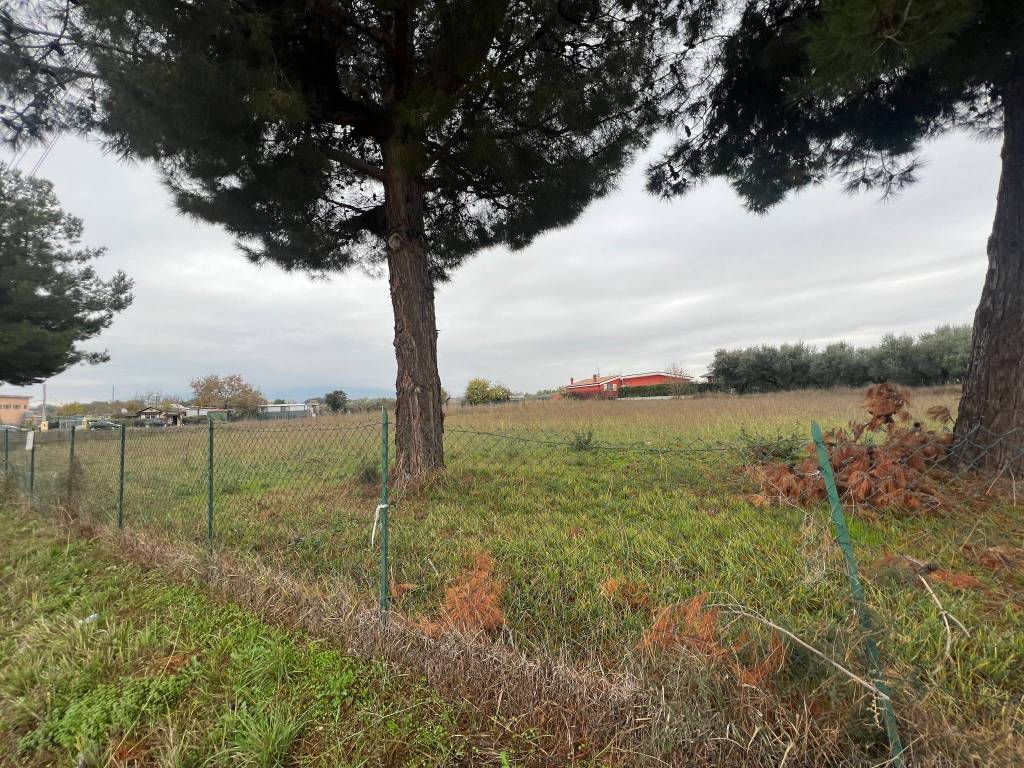 immagine annuncio 1 di 6