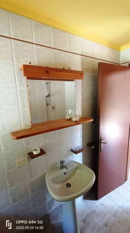 immagine annuncio 7 di 14
