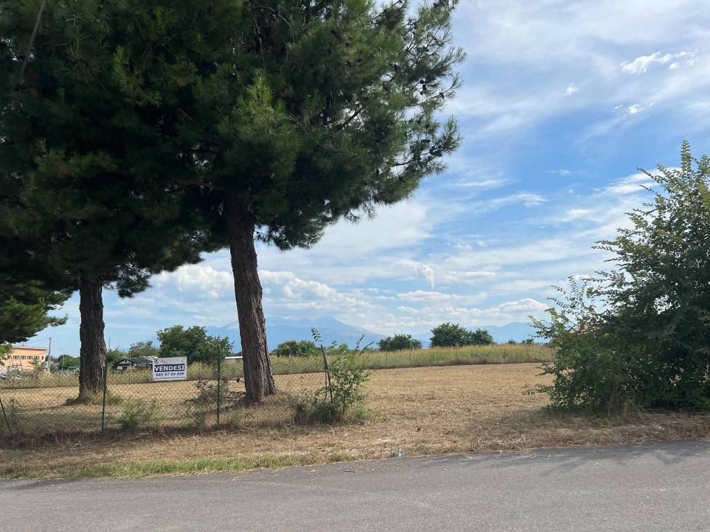 immagine annuncio 4 di 6