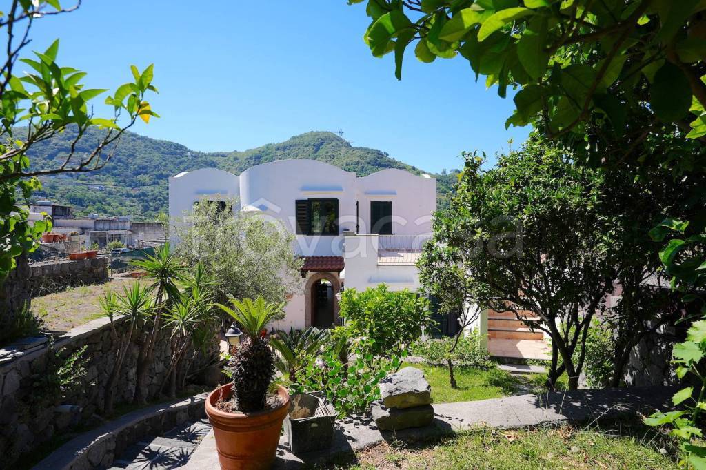 Villa in vendita a Ischia via Vico Fasolara