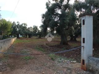 Terreno residenziale in vendita a carovigno contrada belvedere