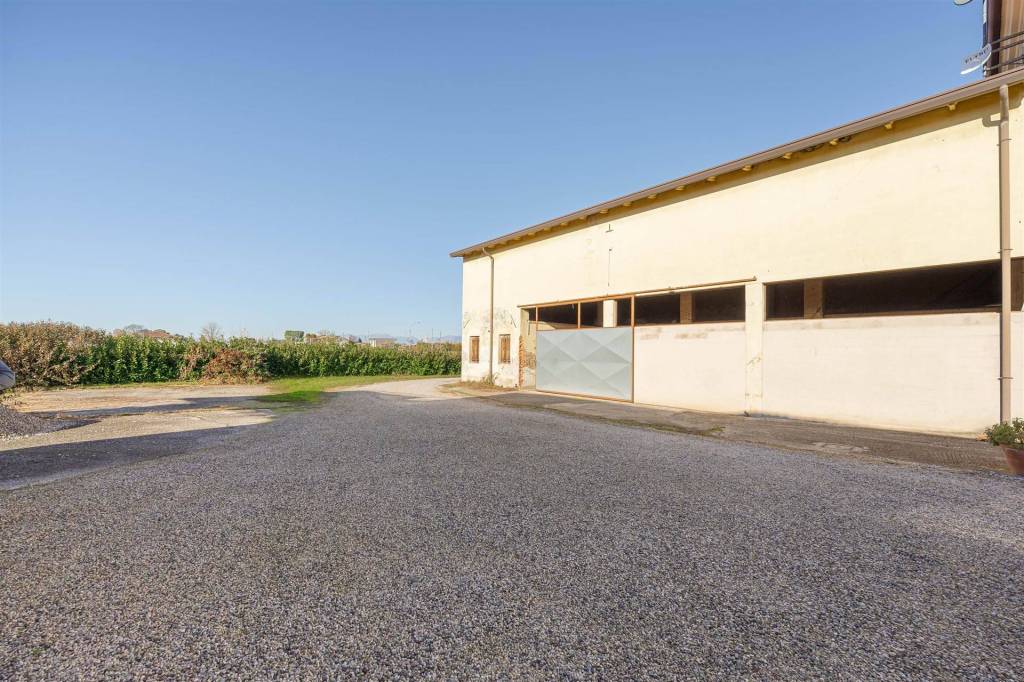 immagine annuncio 3 di 7