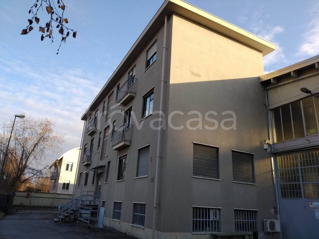 immagine annuncio 12 di 15