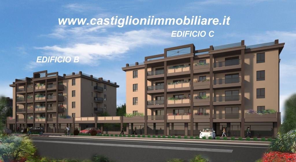 immagine annuncio 1 di 12