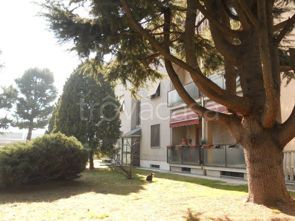 Appartamento in vendita a Vigevano via Gorizia, 20