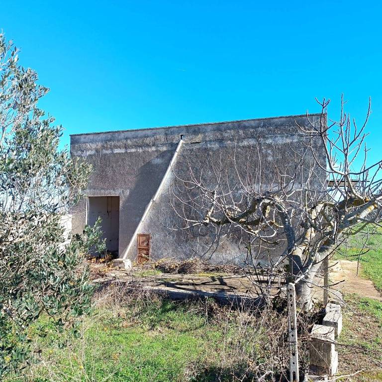 immagine annuncio 2 di 12
