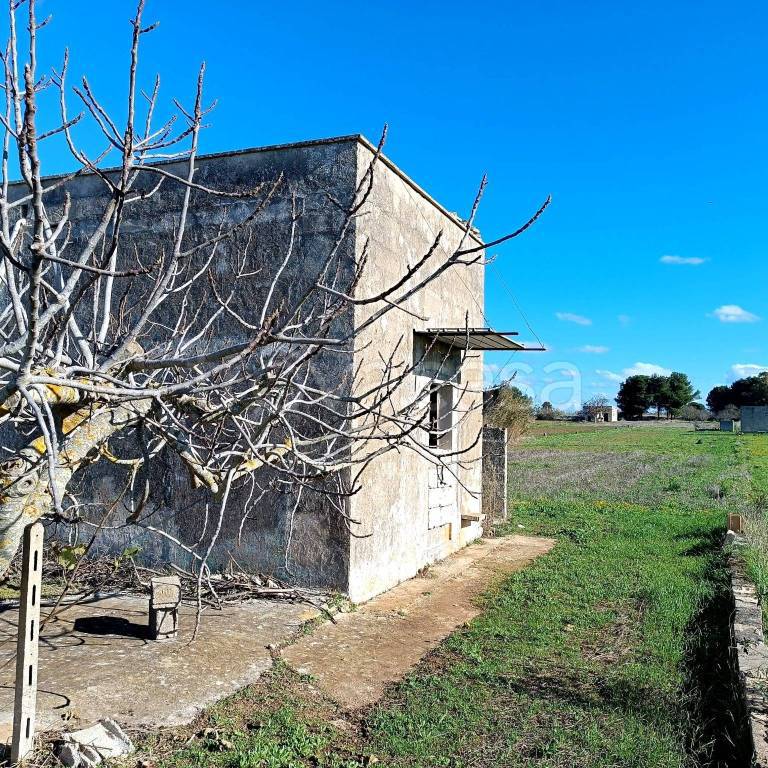 immagine annuncio 5 di 12