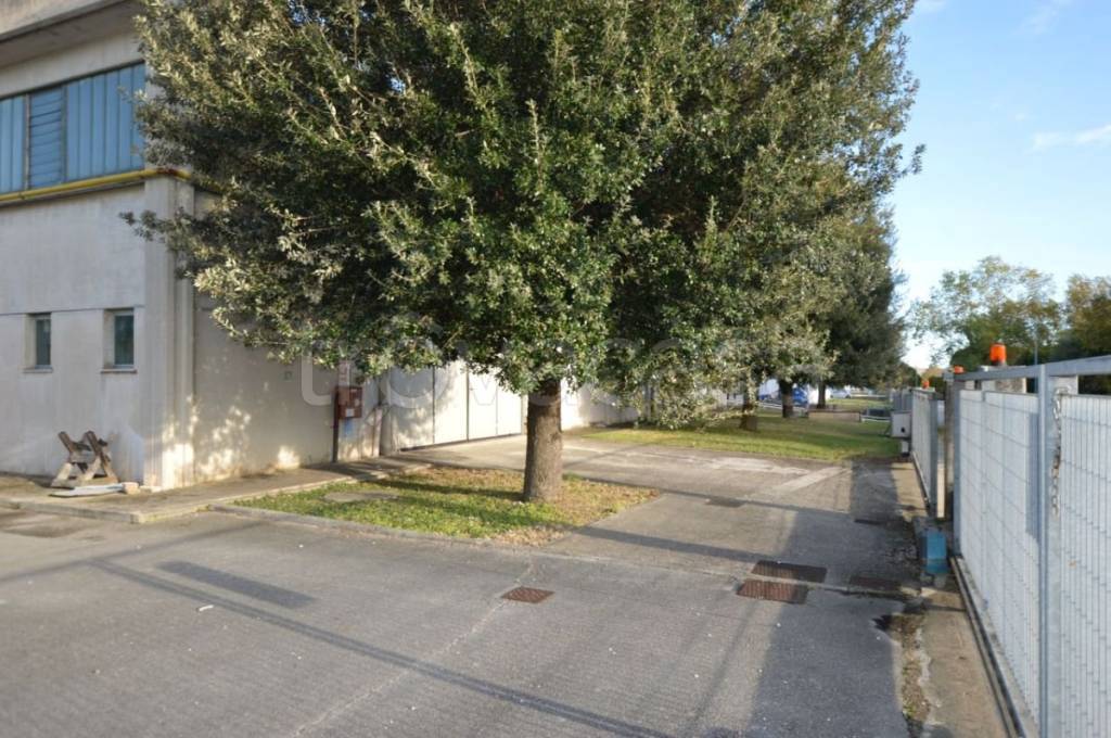 immagine annuncio 7 di 9