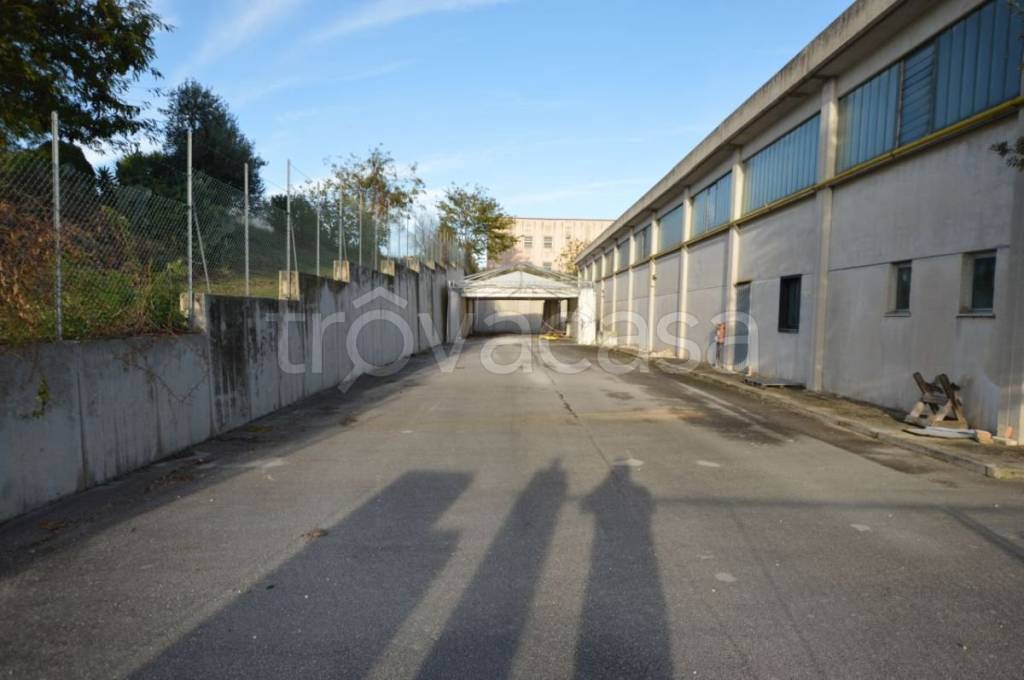 immagine annuncio 8 di 9