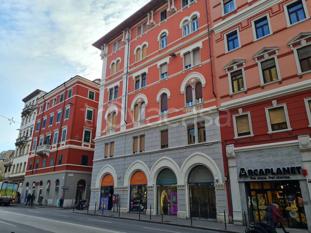 immagine annuncio 7 di 9