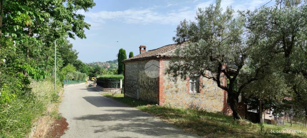 immagine annuncio 2 di 14