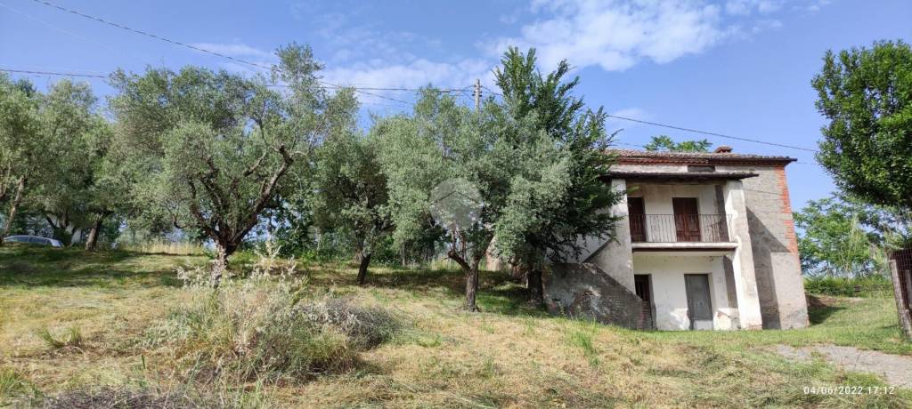 immagine annuncio 3 di 14