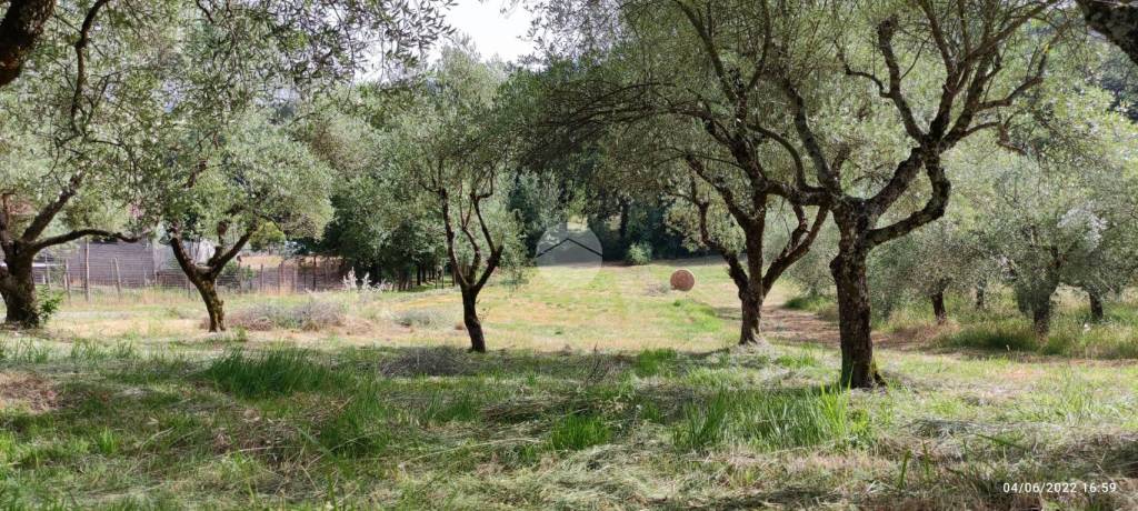 immagine annuncio 5 di 14