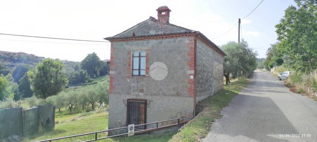 immagine annuncio 11 di 14