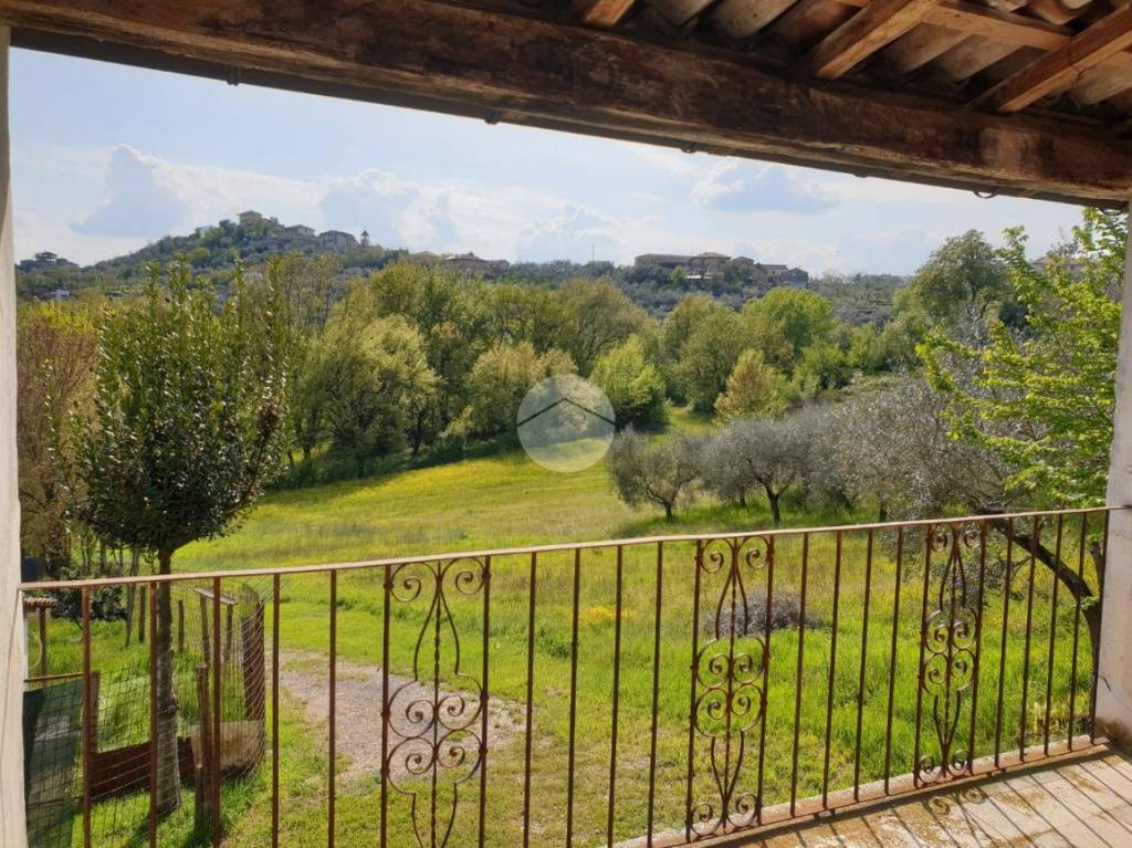 immagine annuncio 12 di 14