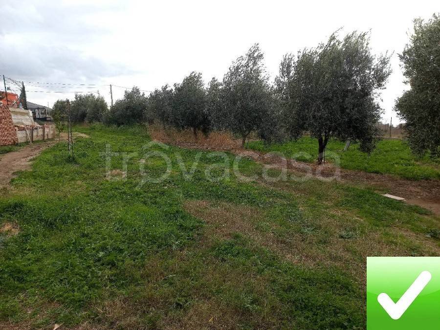 Terreno Agricolo in vendita a Reggio di Calabria contrada Aretina