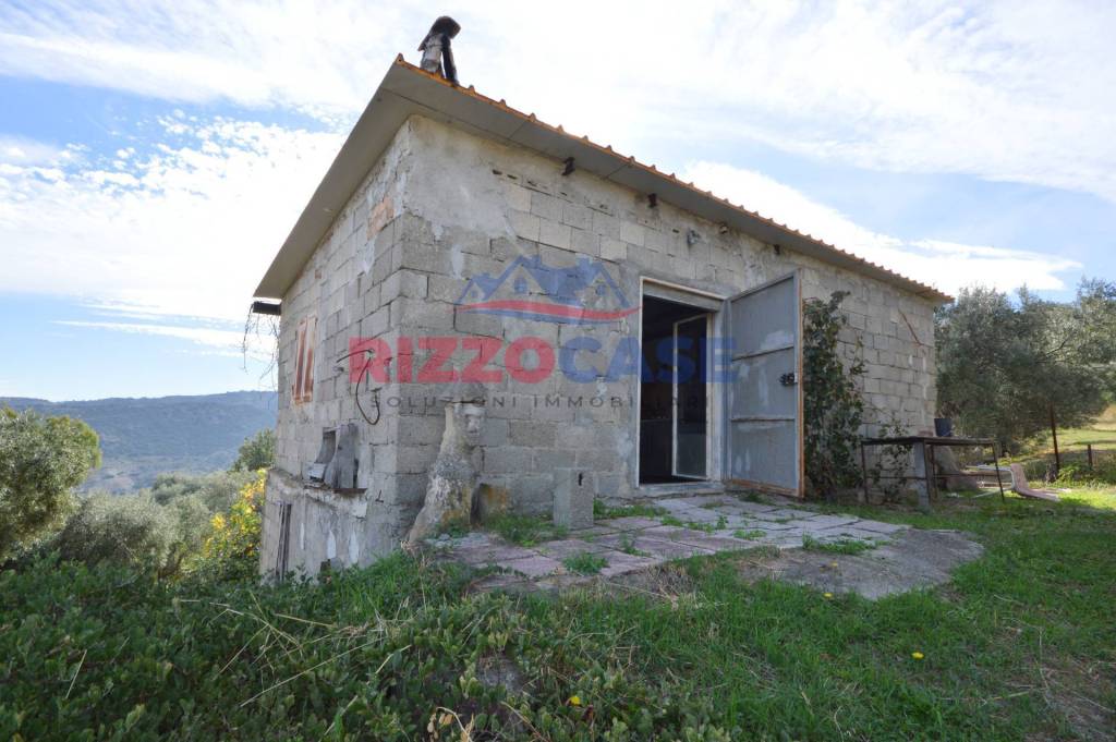 immagine annuncio 10 di 14