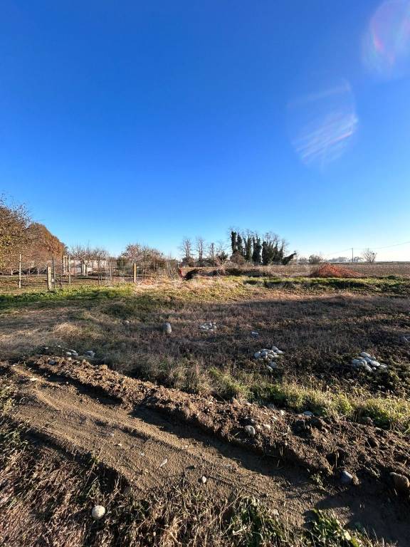 immagine annuncio 3 di 7