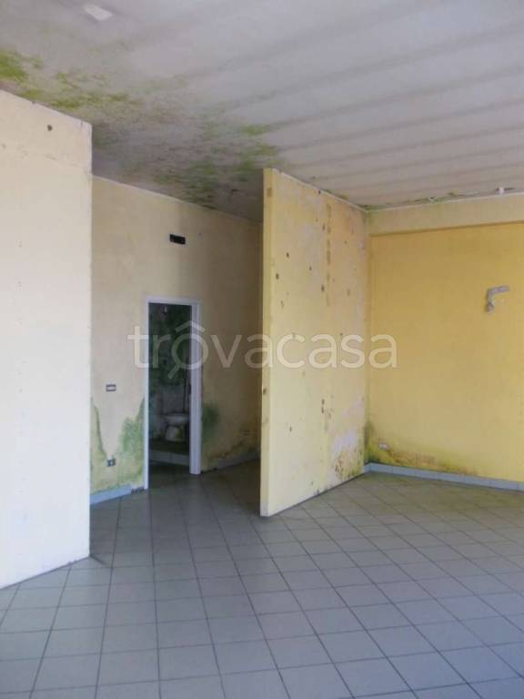 immagine annuncio 4 di 8