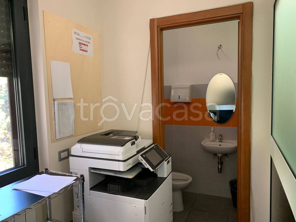 immagine annuncio 9 di 11