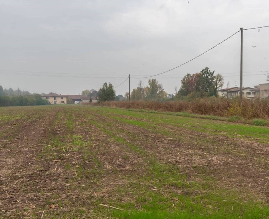 immagine annuncio 1 di 2