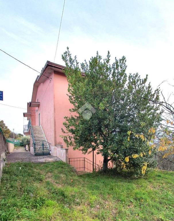 immagine annuncio 11 di 14