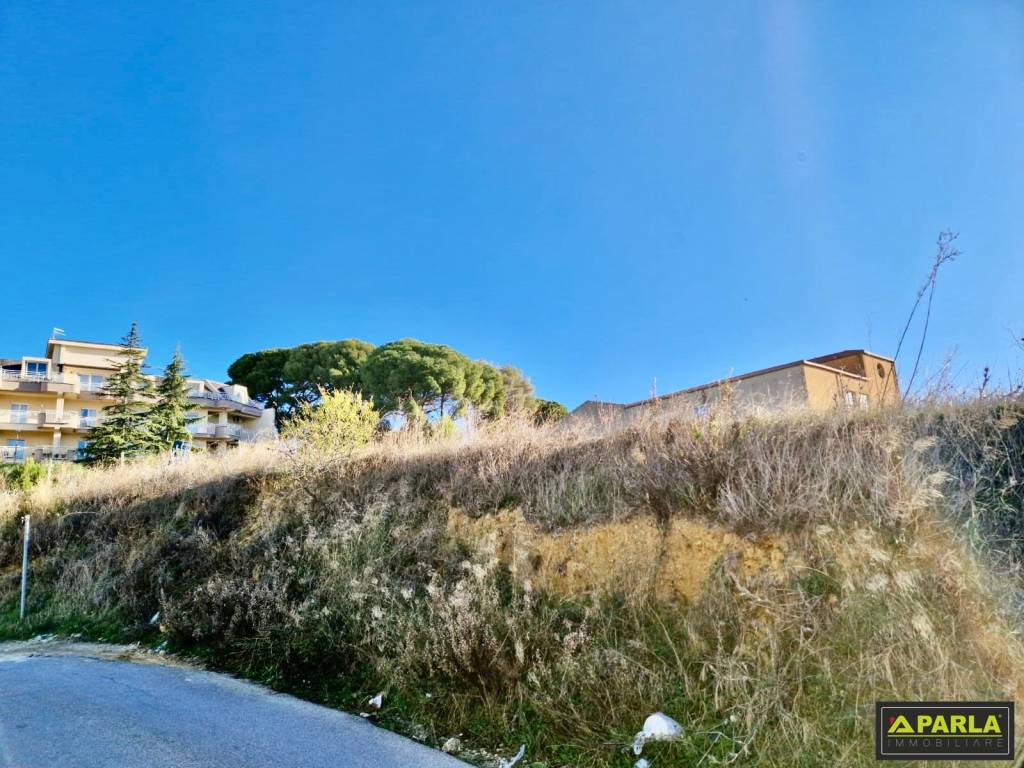 immagine annuncio 4 di 12