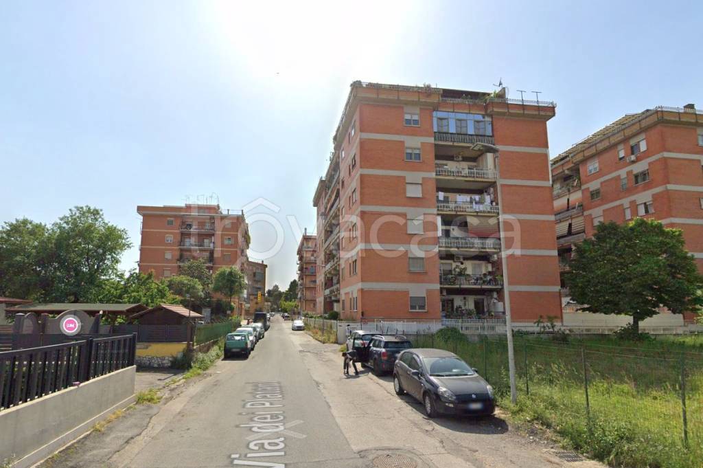 Appartamento in affitto a Guidonia Montecelio via dei Platani