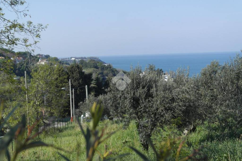 immagine annuncio 4 di 8