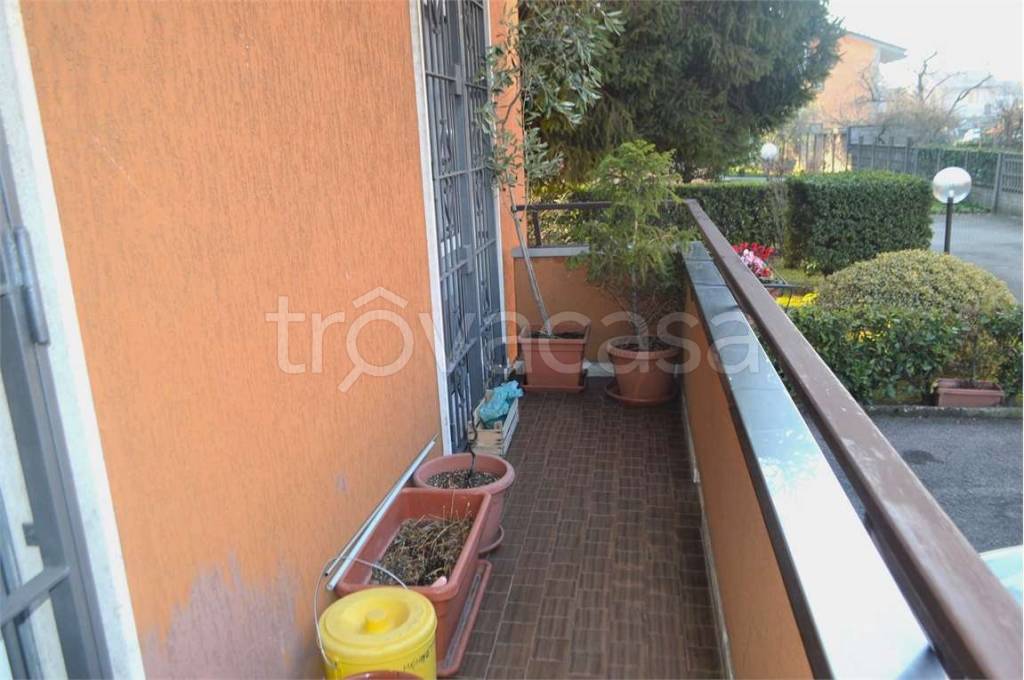 immagine annuncio 11 di 15