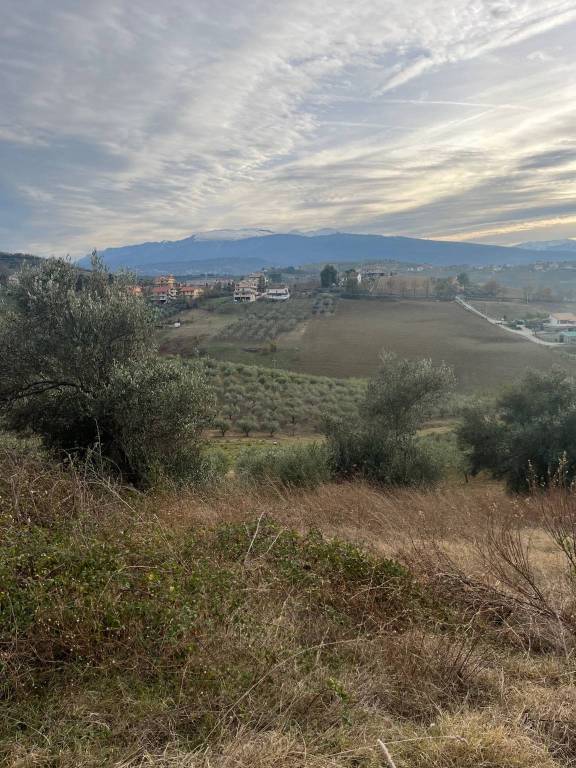 Terreno Agricolo in vendita a Casalincontrada via Brecciarola