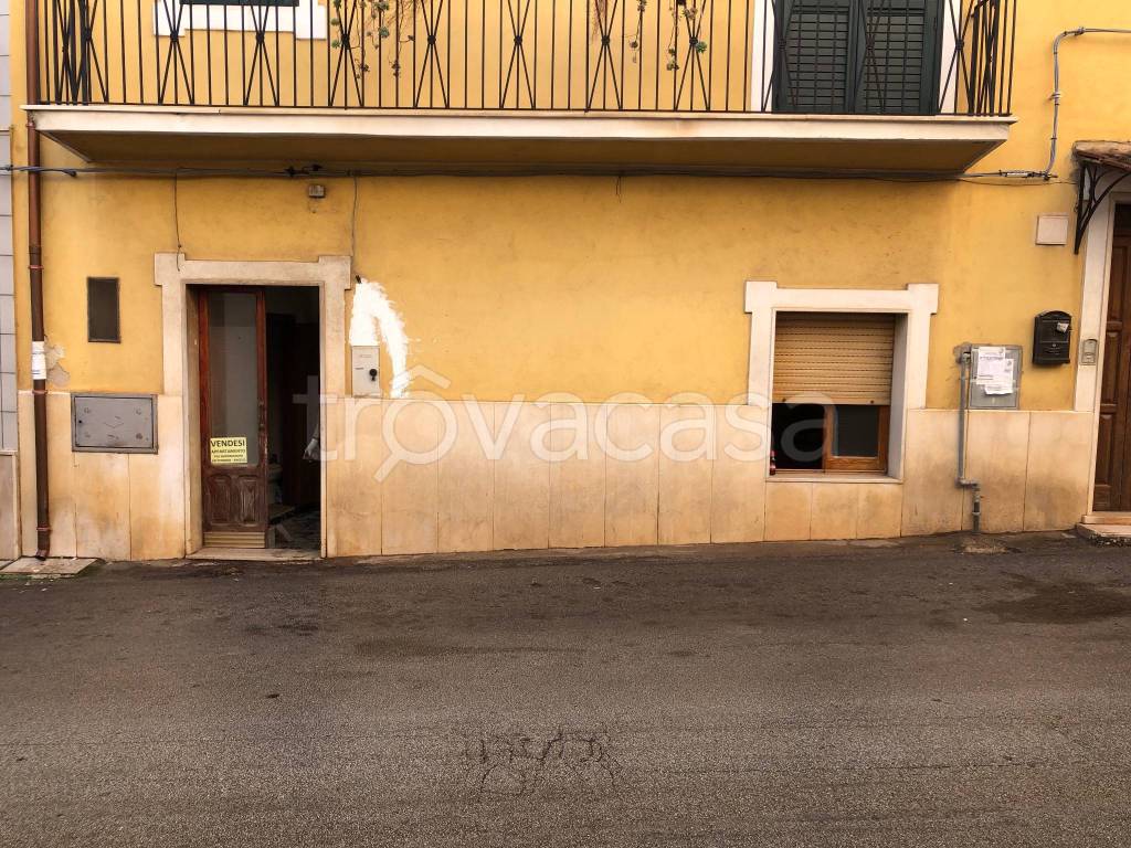 Appartamento in in vendita da privato a Carpino via Giacomo Matteotti, 24