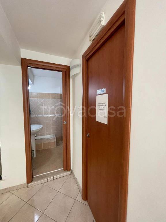 immagine annuncio 10 di 14