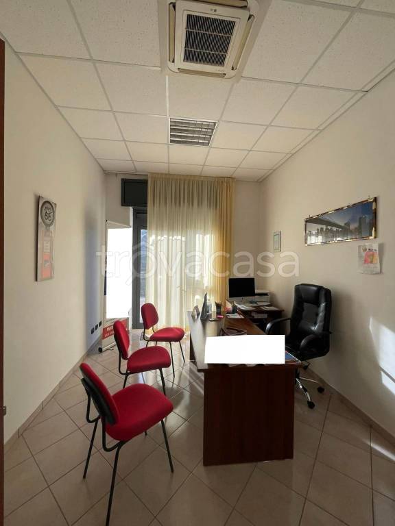 immagine annuncio 9 di 14