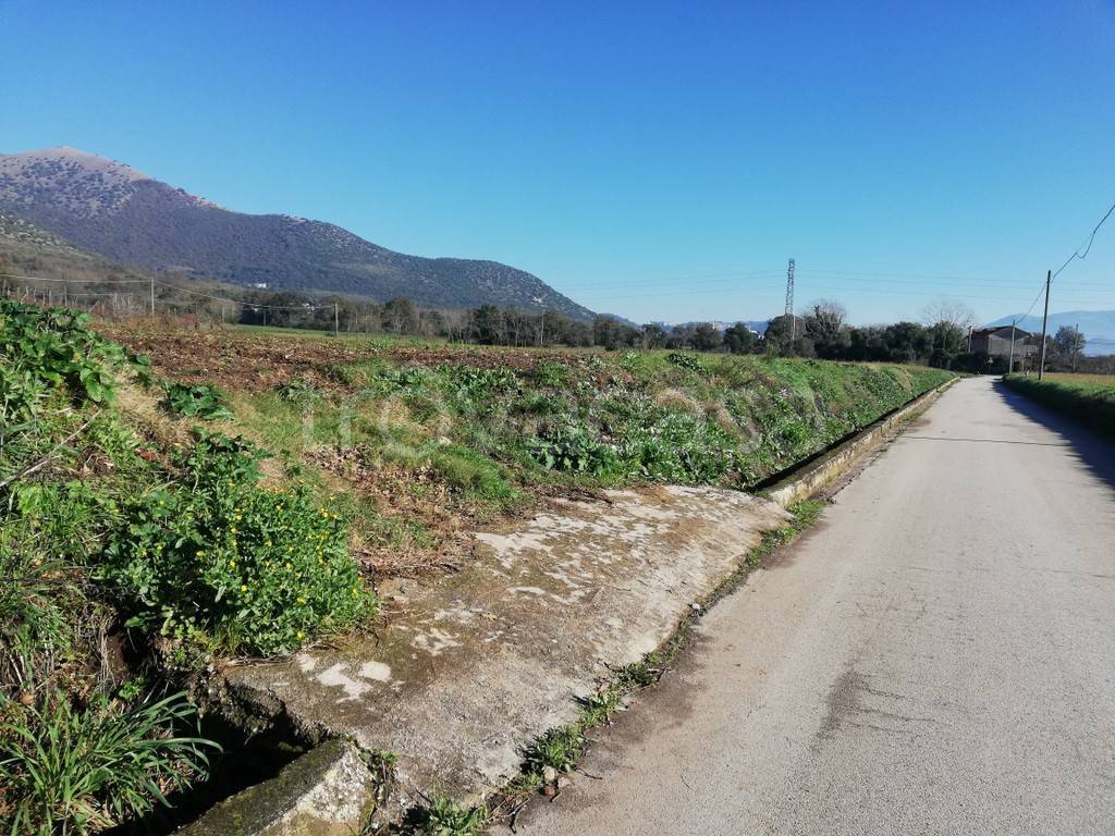 immagine annuncio 5 di 9