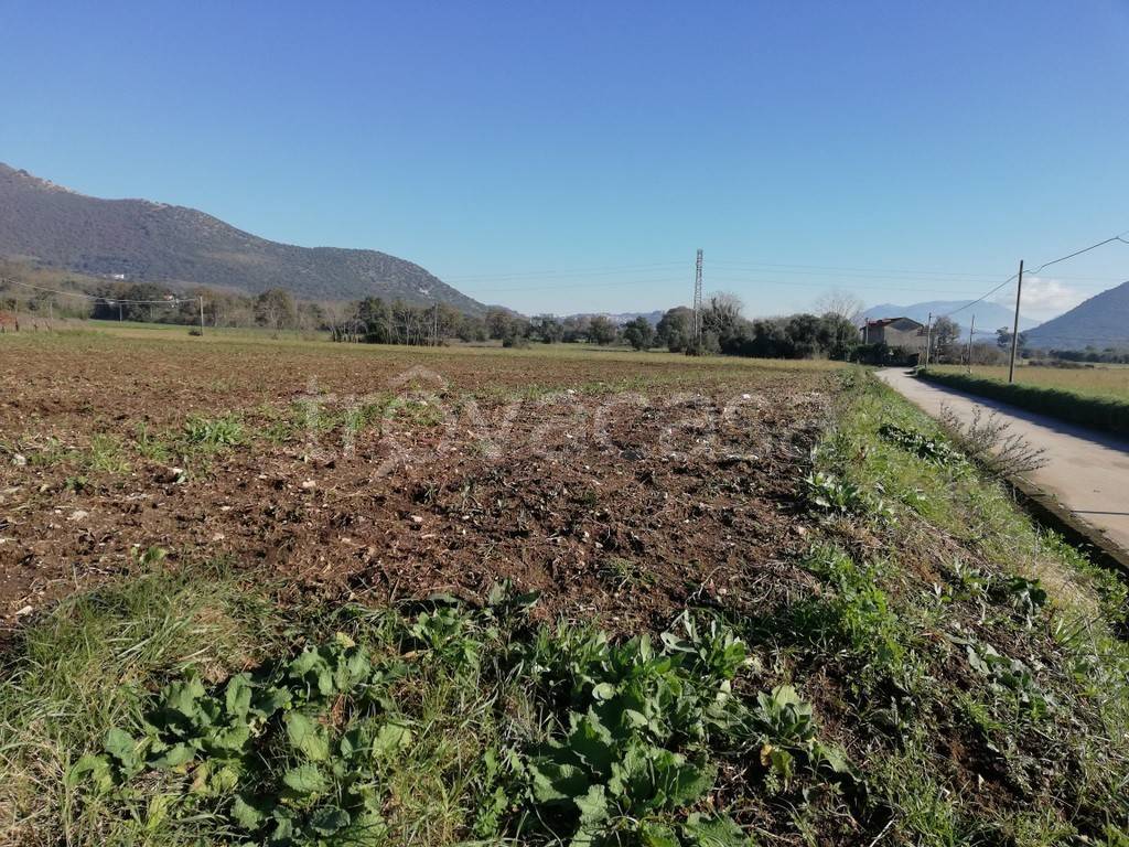 Terreno Agricolo in vendita a Piana di Monte Verna località Marano