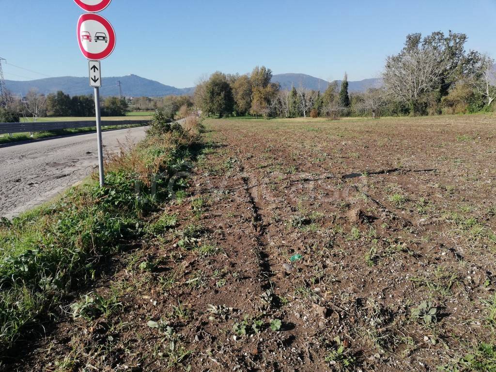 immagine annuncio 4 di 6