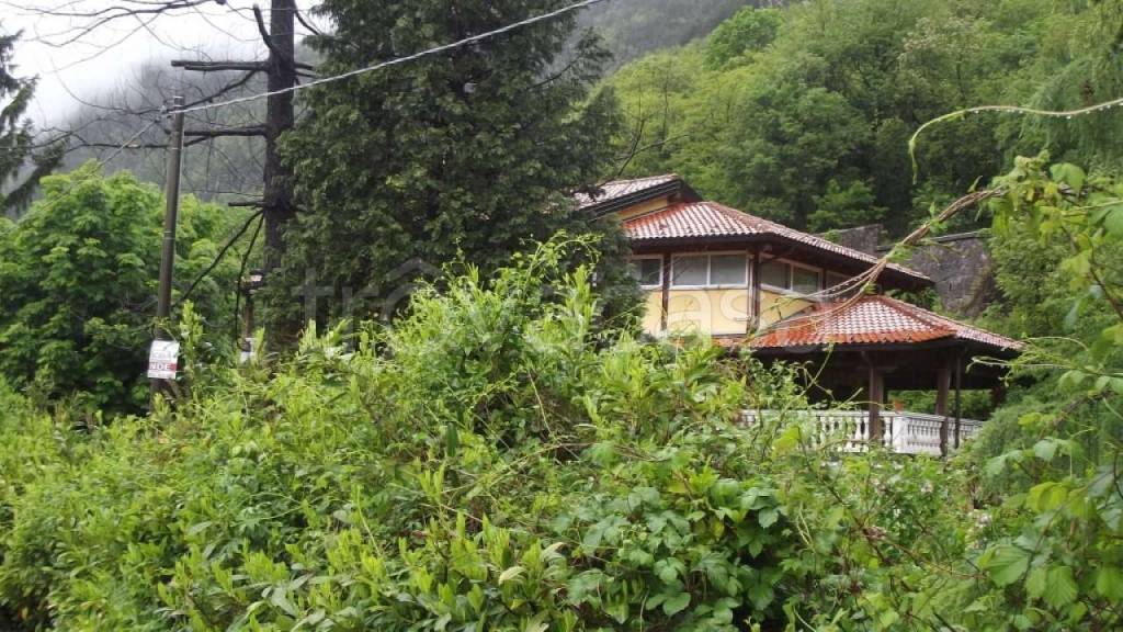 immagine annuncio 9 di 12