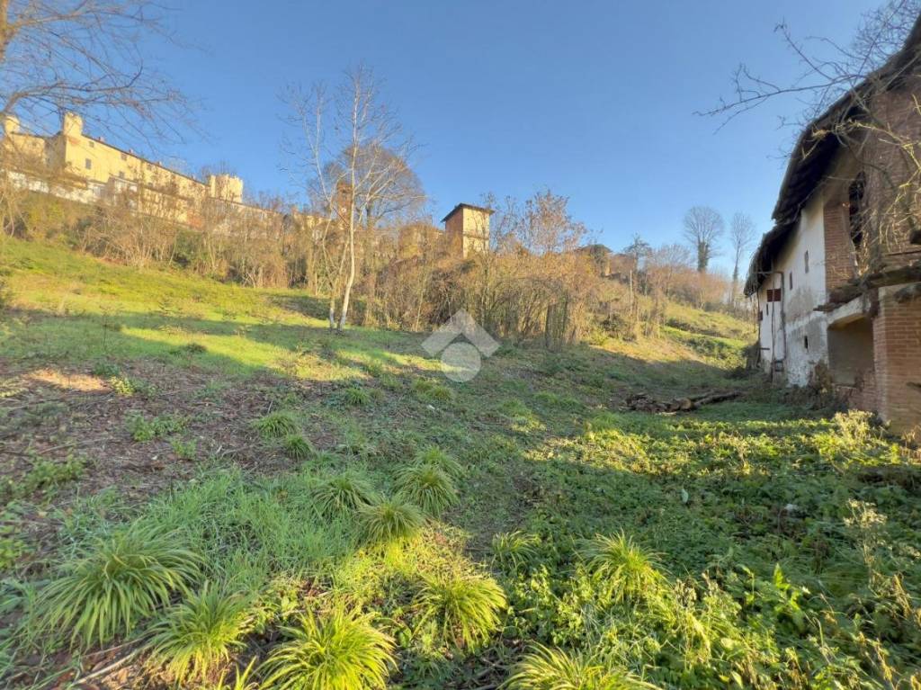 immagine annuncio 11 di 15